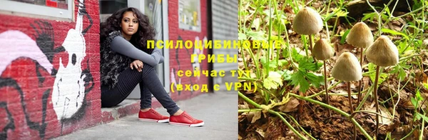 mix Алексин