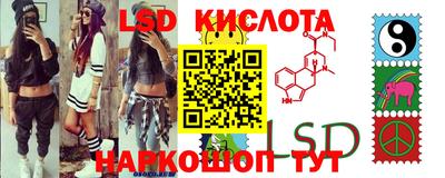 бошки Тверь