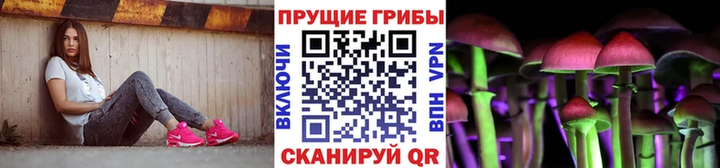 где можно купить   Санкт-Петербург  Псилоцибиновые грибы мухоморы 