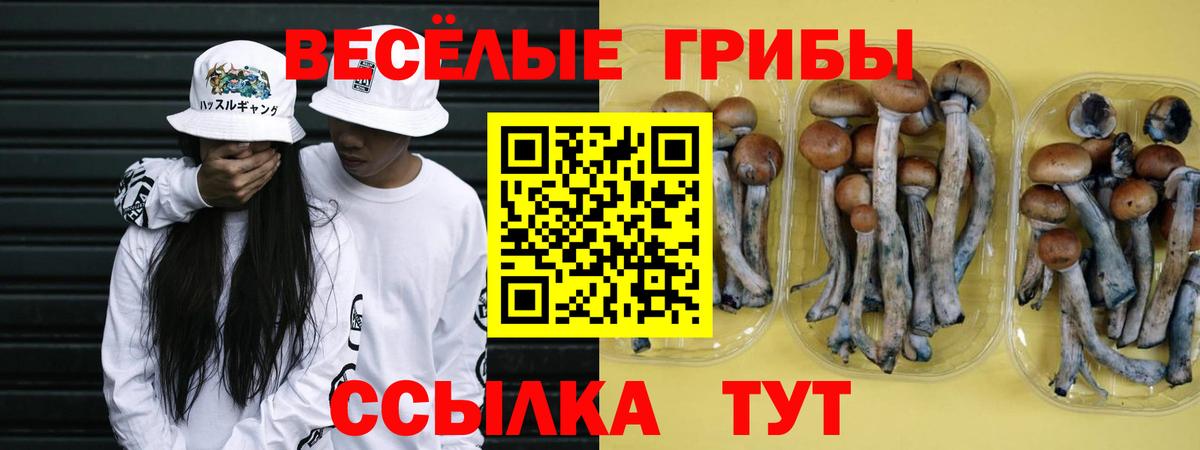 Галлюциногенные грибы GOLDEN TEACHER Санкт-Петербург